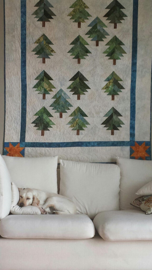 Vaalea koira nukkuu valkoisella sohvalla suuren, kuusikuvioisen tilkkutäkin alla.